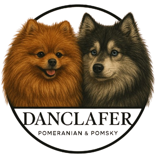 danclafer